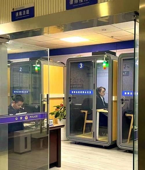 其中,公共法律服务的"掌上办"模式尤为引人瞩目